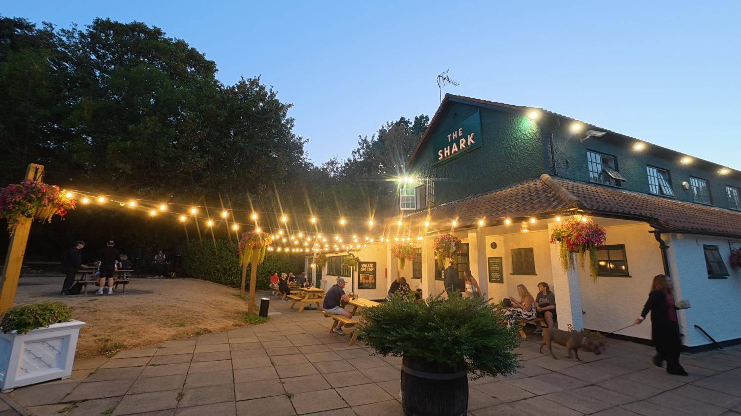 Evening at The Shark